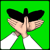 a shadow puppet