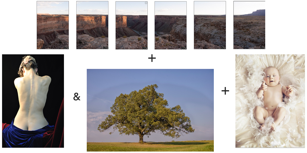 Composite/montage illustration elements for  "The Tree of Life" composite/montage by Michael Maersch