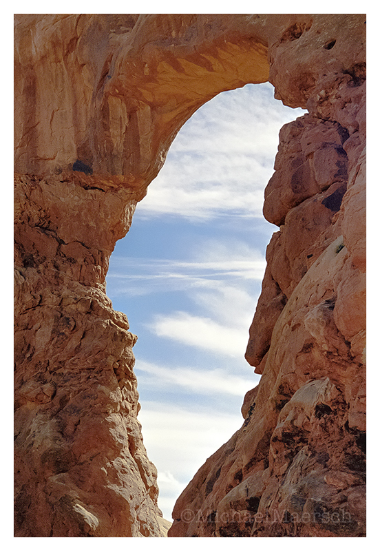 a photograph called Firebird by Michael Maersch