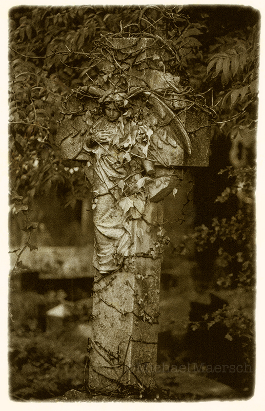 a photograph called Schneewittchen #2 by Michael Maersch