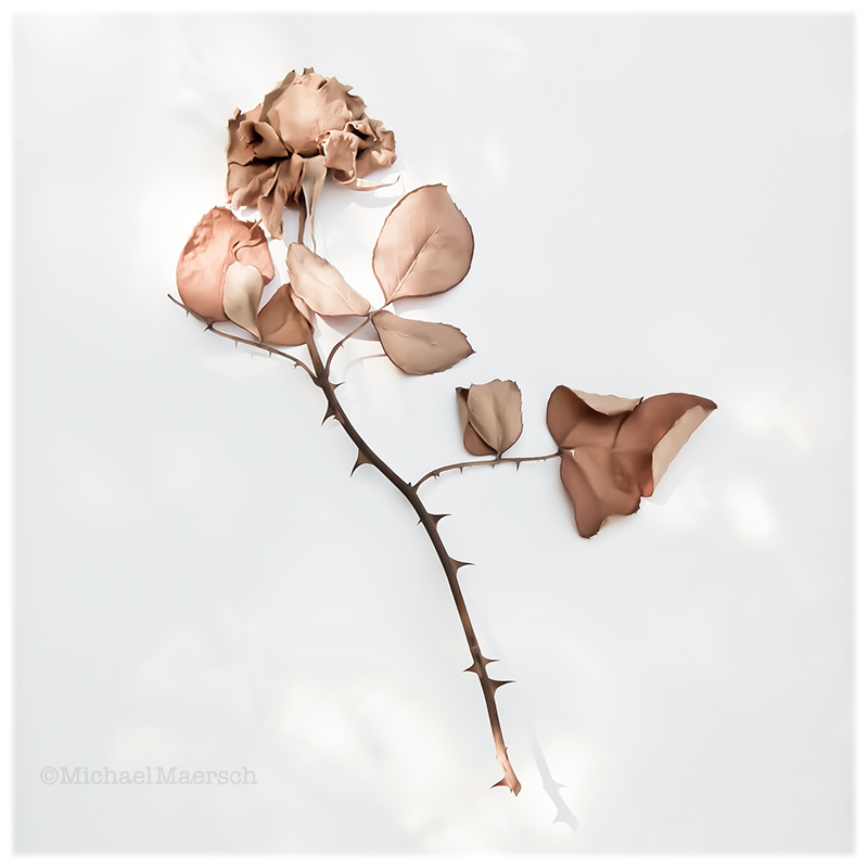 a photograph called Una Muerte Hermosa, #1 by Michael Maersch